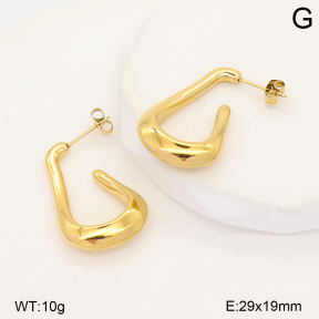 2E2007535abol-253  Stainless Steel Earrings