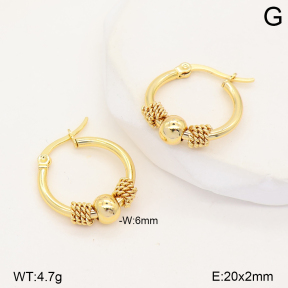 2E2007536vbnb-253  Stainless Steel Earrings