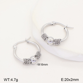 2E2007537vbmb-253  Stainless Steel Earrings