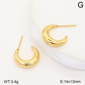 2E2007538vbnb-253  Stainless Steel Earrings
