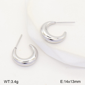 2E2007539vbmb-253  Stainless Steel Earrings
