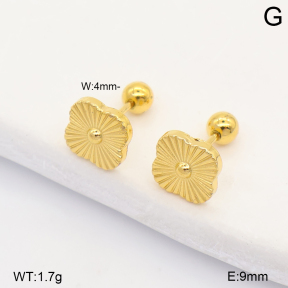 2E2007542baka-253  Stainless Steel Earrings