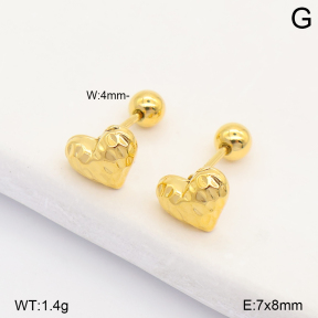 2E2007543baka-253  Stainless Steel Earrings