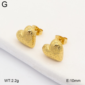 2E2007560vbll-743  Stainless Steel Earrings