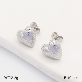 2E2007561ablb-743  Stainless Steel Earrings