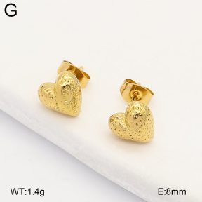2E2007562ablb-743  Stainless Steel Earrings