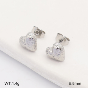 2E2007563aakl-743  Stainless Steel Earrings