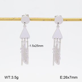 2E2007566ablb-350  Stainless Steel Earrings