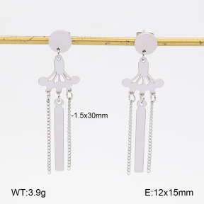 2E2007567ablb-350  Stainless Steel Earrings