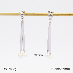2E3004297ablb-350  Stainless Steel Earrings
