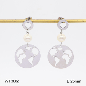 2E3004298ablb-350  Stainless Steel Earrings