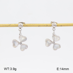 2E3004299vbll-350  Stainless Steel Earrings