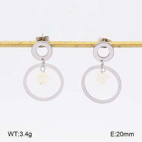 2E3004300vbmb-350  Stainless Steel Earrings