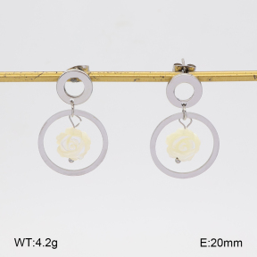 2E3004301vbpb-350  Stainless Steel Earrings