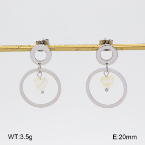 2E3004302vbmb-350  Stainless Steel Earrings