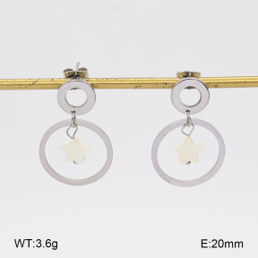 2E3004303vbmb-350  Stainless Steel Earrings