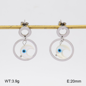 2E3004304vbpb-350  Stainless Steel Earrings