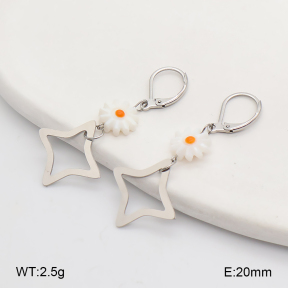 2E3004305vbpb-350  Stainless Steel Earrings