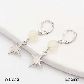 2E4005577ablb-350  Stainless Steel Earrings