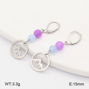 2E4005579ablb-350  Stainless Steel Earrings