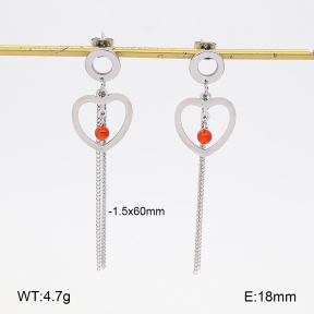 2E4005580ablb-350  Stainless Steel Earrings