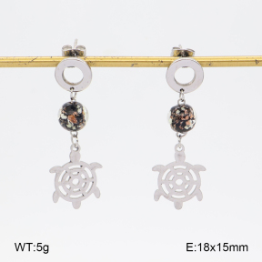 2E4005581ablb-350  Stainless Steel Earrings