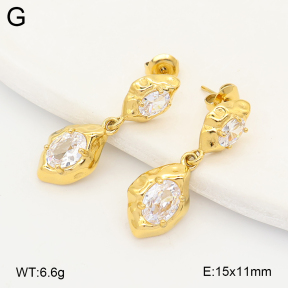 2E4005582vhkl-649  Stainless Steel Earrings