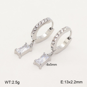 2E4005583bhva-649  Stainless Steel Earrings