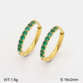 2E4005589bhia-253  Stainless Steel Earrings