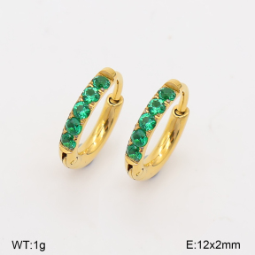 2E4005590bhva-253  Stainless Steel Earrings