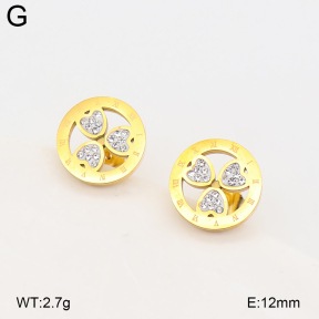 2E4005665vbmb-743  Stainless Steel Earrings