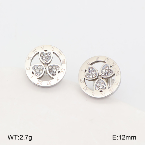 2E4005666vbll-743  Stainless Steel Earrings