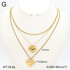 2N2009822abol-749  Stainless Steel Necklace