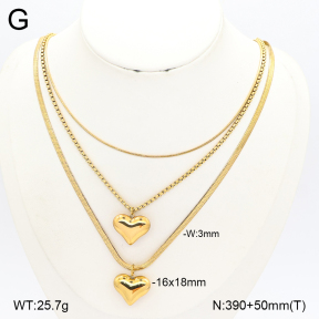 2N2009824abol-749  Stainless Steel Necklace