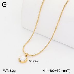 2N3003729aakl-749  Stainless Steel Necklace