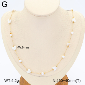 2N3003742vhha-743  Stainless Steel Necklace