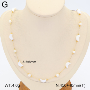 2N3003744vhha-743  Stainless Steel Necklace