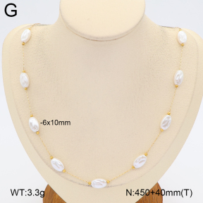 2N3003745bhva-743  Stainless Steel Necklace