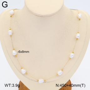 2N3003746bhva-743  Stainless Steel Necklace