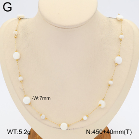 2N3003747vhha-743  Stainless Steel Necklace