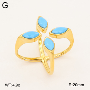 2R4002439vbpb-649  Stainless Steel Ring