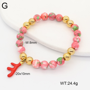 2B4006448abol-669  Stainless Steel Bracelet