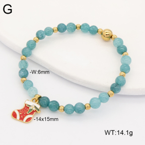 2B4006453abol-669  Stainless Steel Bracelet