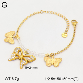 2B4006457ahjb-669  Stainless Steel Bracelet