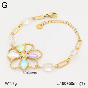 2B4006458bhia-669  Stainless Steel Bracelet