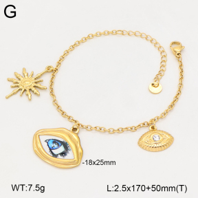 2B4006462vhhl-669  Stainless Steel Bracelet
