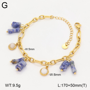 2B4006465bhjl-669  Stainless Steel Bracelet