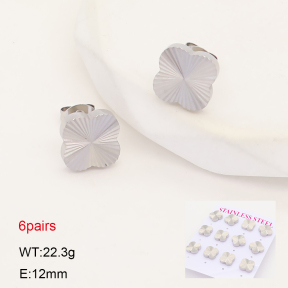 2E2007547vhkb-436  Stainless Steel Earrings