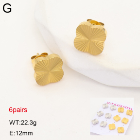 2E2007548vhmv-436  Stainless Steel Earrings