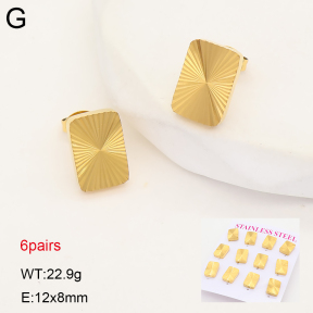 2E2007550vhnl-436  Stainless Steel Earrings